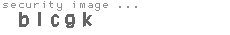 security image