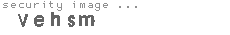 security image
