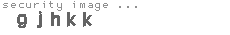 security image