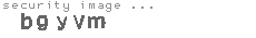 security image