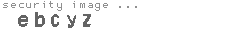 security image