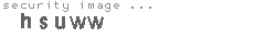 security image
