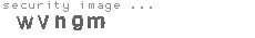 security image
