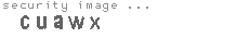 security image