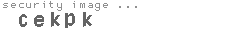 security image