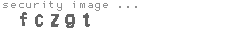 security image