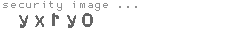 security image