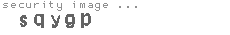 security image