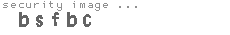 security image