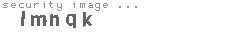 security image