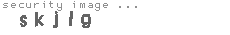 security image