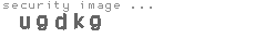 security image