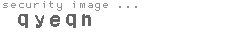 security image