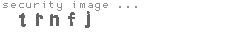security image