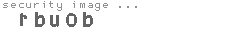 security image