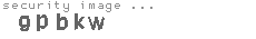 security image