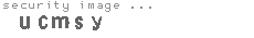 security image