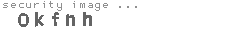 security image