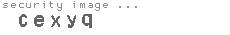 security image