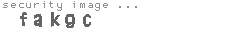 security image