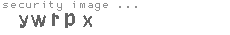 security image