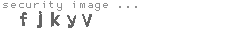 security image