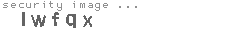 security image