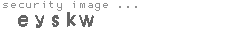 security image