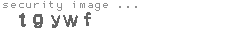 security image