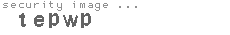 security image