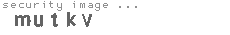 security image