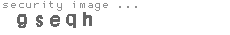 security image