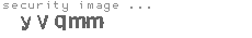security image