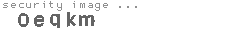 security image