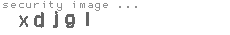 security image