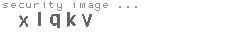 security image