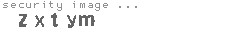 security image