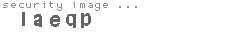 security image