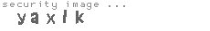 security image