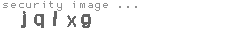 security image