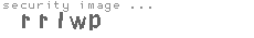 security image
