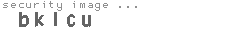 security image