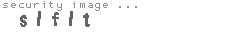 security image