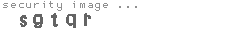 security image