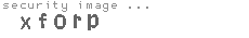security image