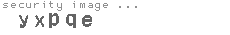 security image
