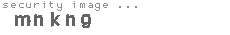 security image