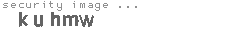 security image