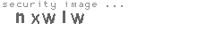 security image