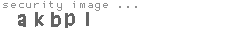 security image